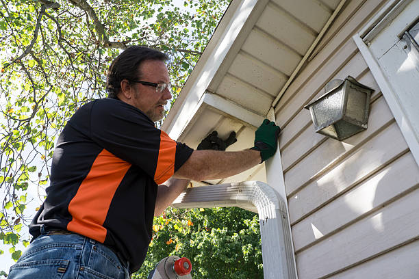 Affordable Siding Repair and Maintenance Services in Green Valley, MD